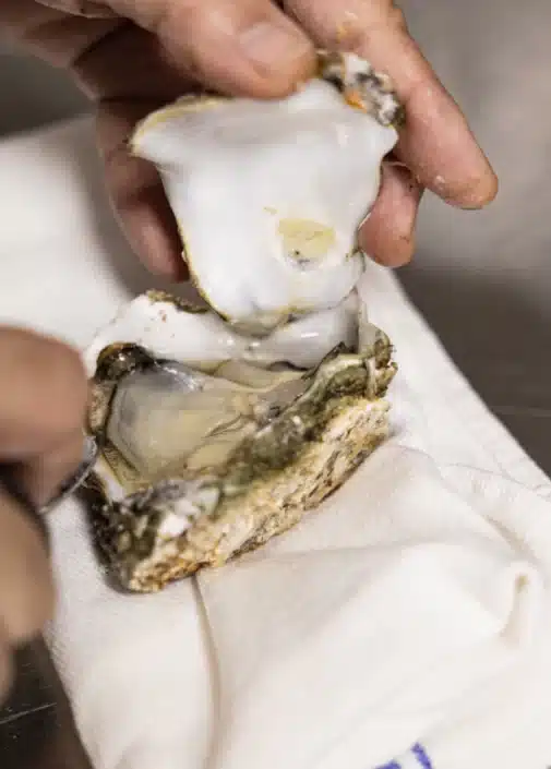 Brasal restaurante en Cádiz, restaurante de barrio con alma de brasa. 