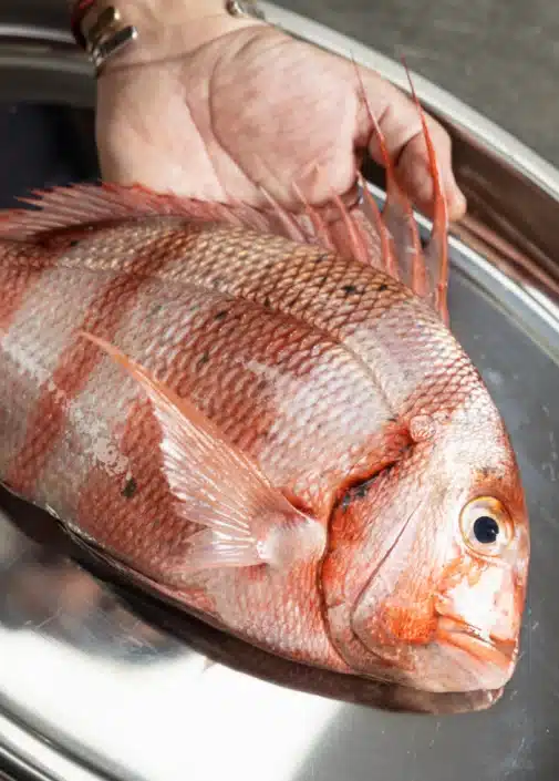 Brasal restaurante en Cádiz, restaurante de barrio con alma de brasa. 