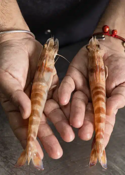 Brasal restaurante en Cádiz, restaurante de barrio con alma de brasa. 