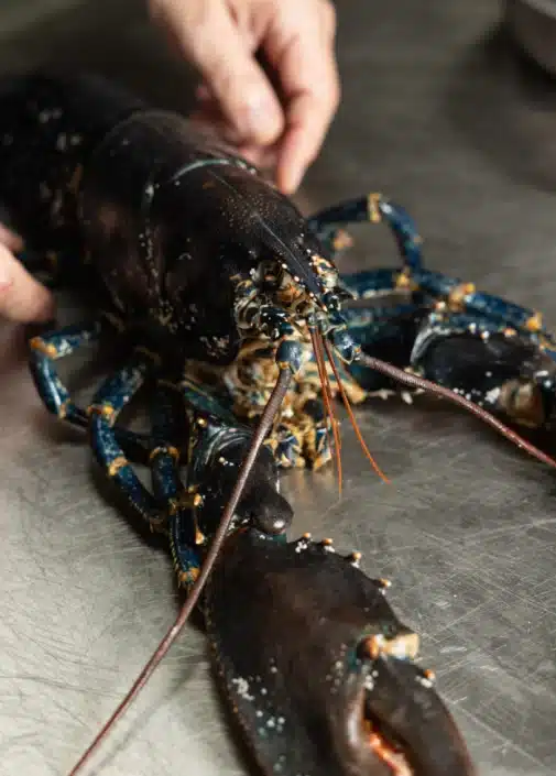 Brasal restaurante en Cádiz, restaurante de barrio con alma de brasa. 